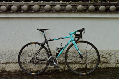 titsandtires:SDIM9799 (by ichicoblog)