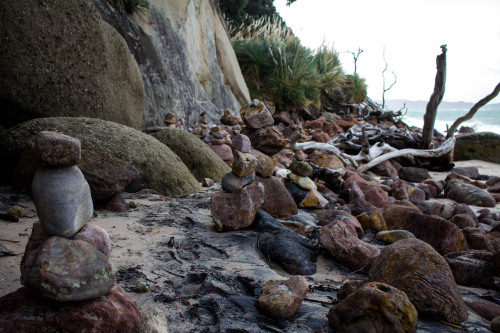 Coromandel Peninsula, New Zealand.