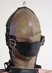 mouthlock:  Special heavy gag / mask.