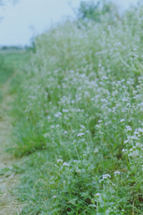 長い道を曲がって 此処へきている その先にも続く