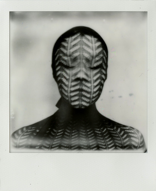 annaxmalina:  {2o13} from the polaroid diary 