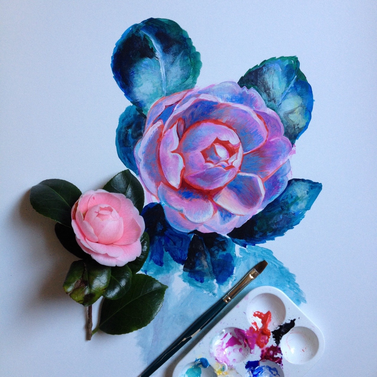 noelbadgespugh:camellia study