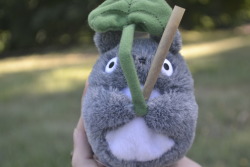 thc-kittyy:  totoro and one of the best joints