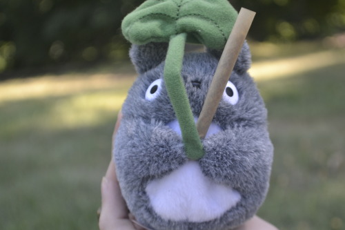 thc-kittyy:  totoro and one of the best joints ive rolled 