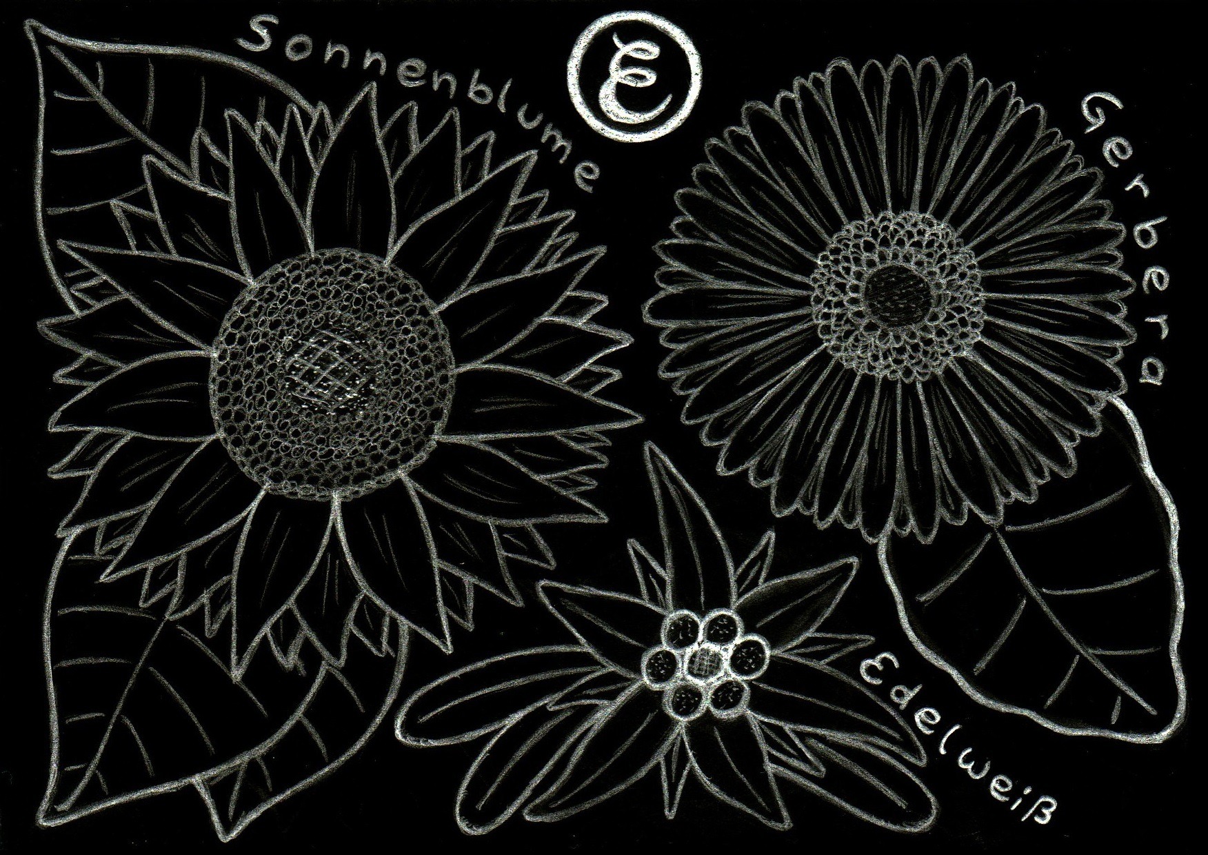 Noble White Explore Tumblr Posts And Blogs Tumgir Noble White Explore Tumblr Posts And Blogs Tumgir