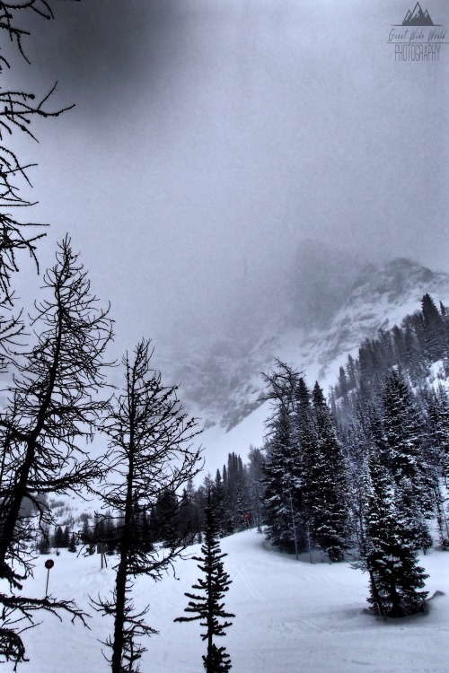 greatwideworldphoto: Cloud Cover | Original by Great Wide World Photography Taken in Alberta, Canada