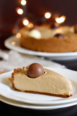 fullcravings:  No Bake Cookie Butter Cheesecake