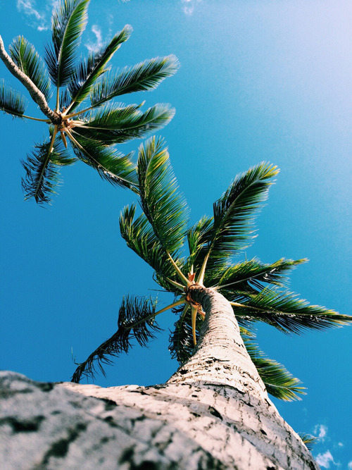 livingyoungwildfree: summer