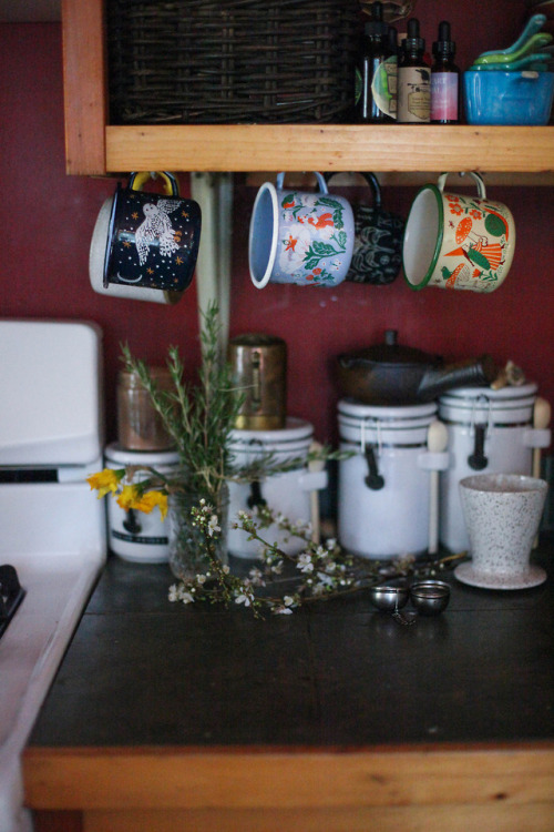 phoebe-bird: My mugs in @demetriaprovatas‘ kitchen. 