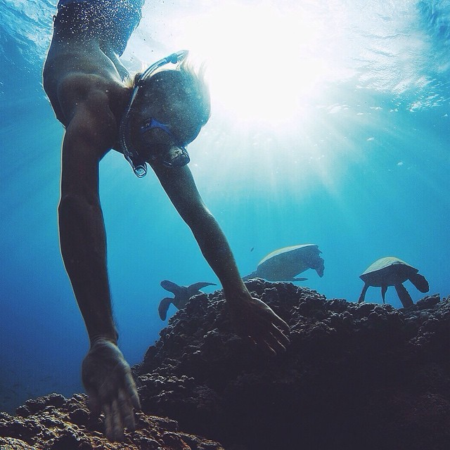 zonacarioca:  tropical/surf