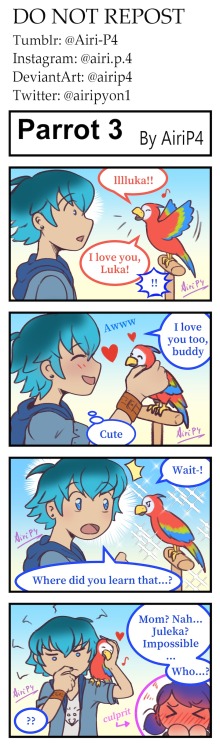 ✨Parrot - 3✨HE’S SO CLUELESS- ( I LOVE THEM SO MUCH )(also: @lllluka is a recurring in th