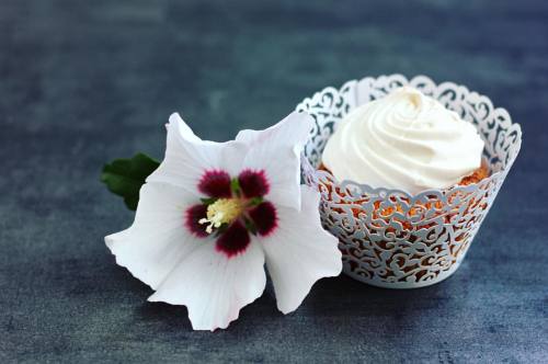 Yummy #cupcake for breakfast? We definitely say YES #breakfast #breakfasttime #cupcakeforbreakfast