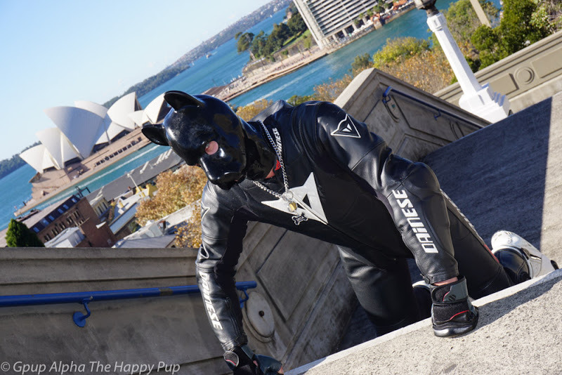 @secapup in his awesome leather pup gear when he was visiting our Sydney pup play