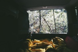 hannaoliviaway:  our morning view.  [ps car camping with a nine month old = crazy town, USA]