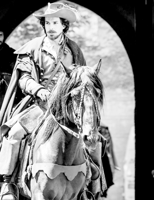 mrsbingleys: ∙ Pictures of Aramis (6 - ∞) 