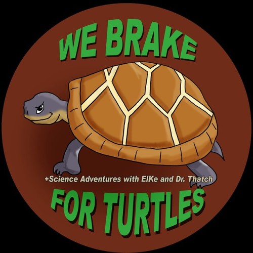 This car decal was designed by ElKe. The artwork was completed by Bearman Cartoons.
The decal is available, in two colors, for a donation - the proceeds will be shared between the Biophilia Nature Center and Alaqua Animal Refuge, both in Freeport,...