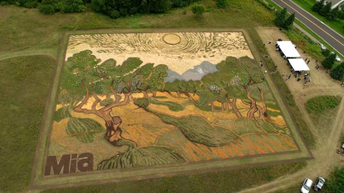 Creative Crop Art - Yaratıcı Ekin Sanatı by Stan Herd