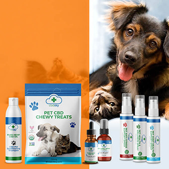 Is CBD safe for pets?Cats and dogs, among other pets, also have an endocannabinoid system, which can