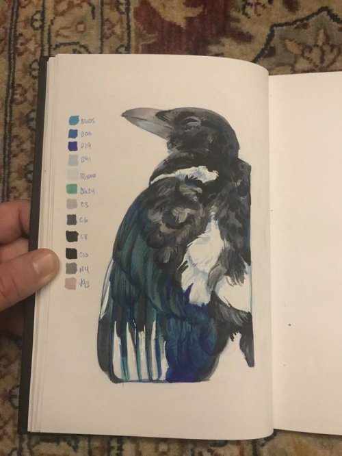 alekivz:i draw my birds one half at a time, just like anybody else