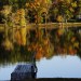 thingssthatmakemewet:Shot some of my favorite fall foliage photos to date and I can&rsquo;t