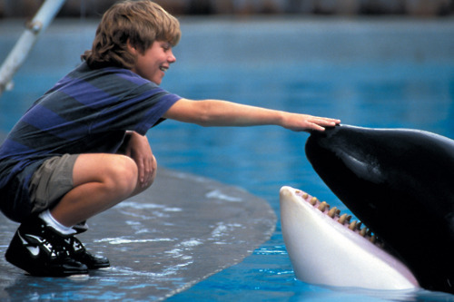 thosewerethe90s:  filmkulte:  Free Willy (1993)  20 years.  twenty years. TWENTY.  how.   Damn. I’m old haha