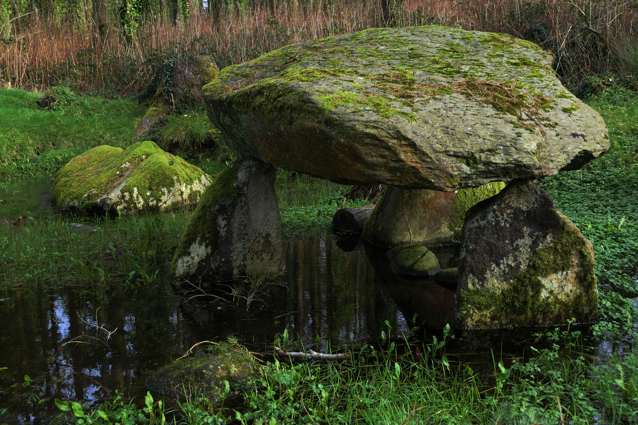 thesilicontribesman: Flooded Cromlech at Parc Glynllifon, North Wales, 16.2.18. It