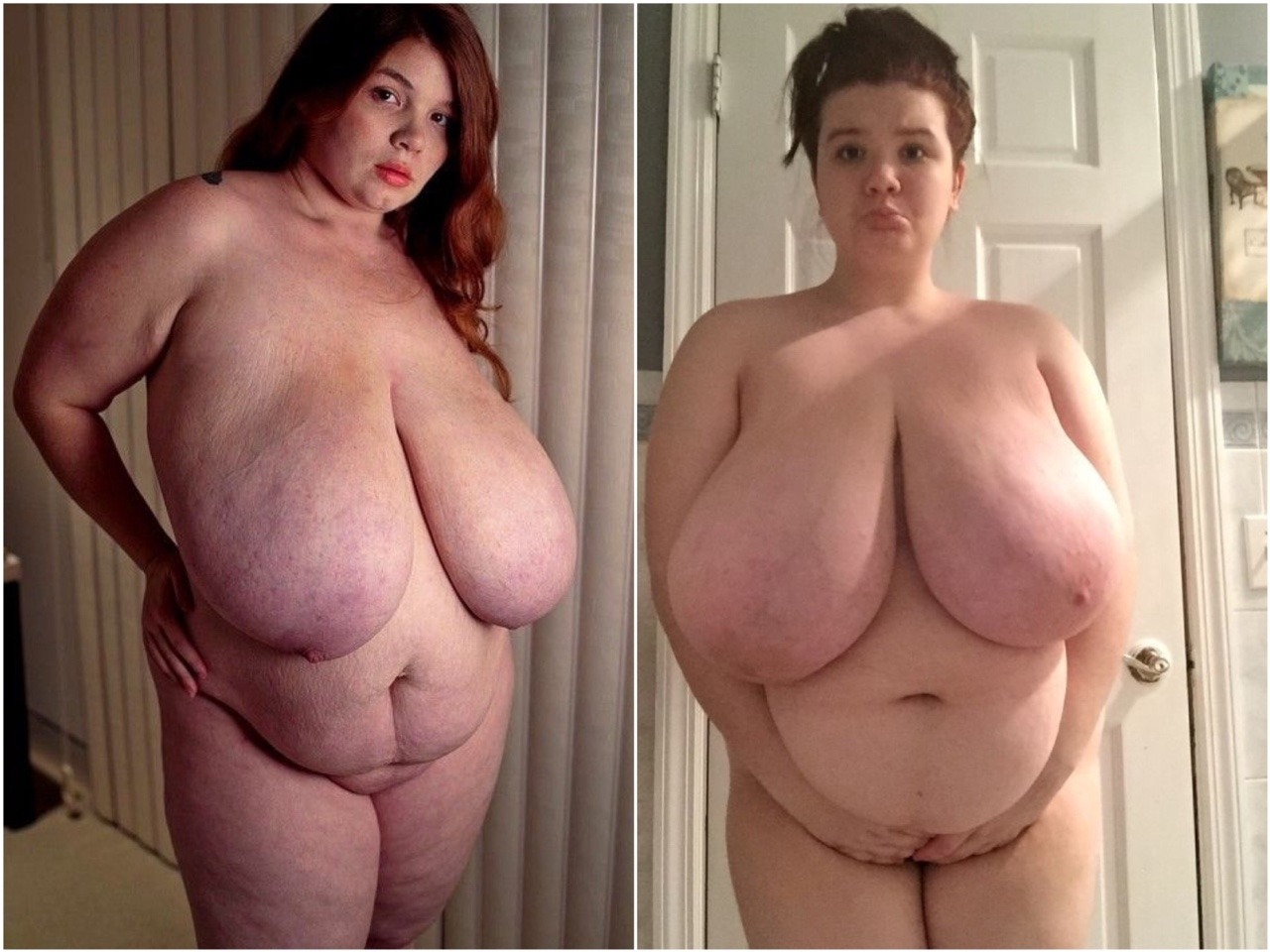 funbaggery:  Imagine if they were sisters though. Giant bras hanging up everywhere.