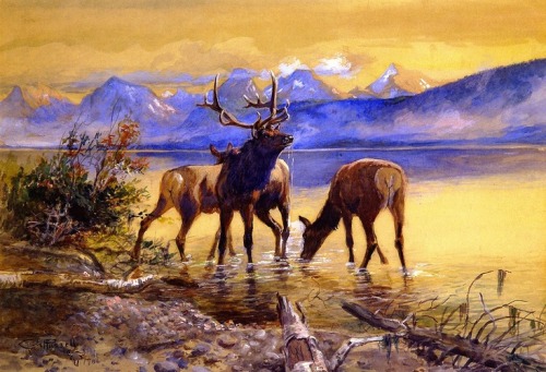 artist-charles-russell: Elk in Lake McDonald, 1906, Charles M. Russell