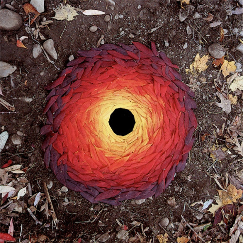 &ldquo;Andy Goldsworthy, Leaves&rdquo; on /r/Art ift.tt/29Vucb7