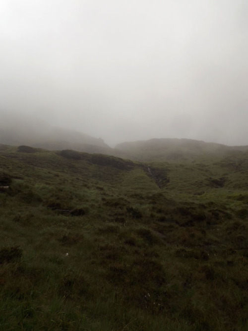 sfitzgerald-art: June in Ireland, dense fog.