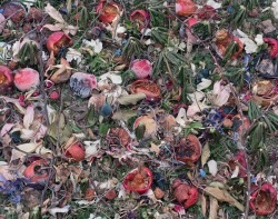 nevver:  Fallen