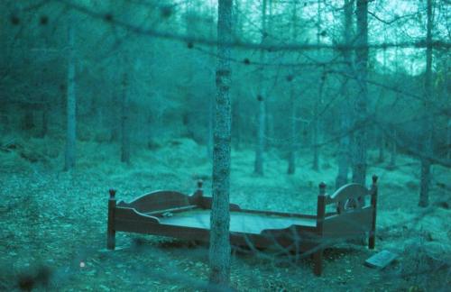 hannahmaeread: Abandoned bed, Iceland