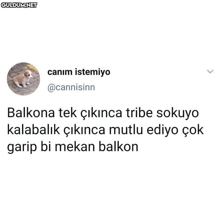 kalabalık çıkamıyoruz...