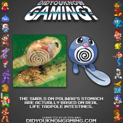 didyouknowgaming:  Pokemon. http://www.vgfacts.com/trivia/2636/