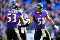 Fuckyeahravens