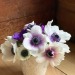 fleur-aesthetic:instagram | jayflora_designs