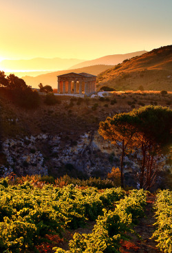 mostlyitaly:    Segesta, Sicily by James Appleton   