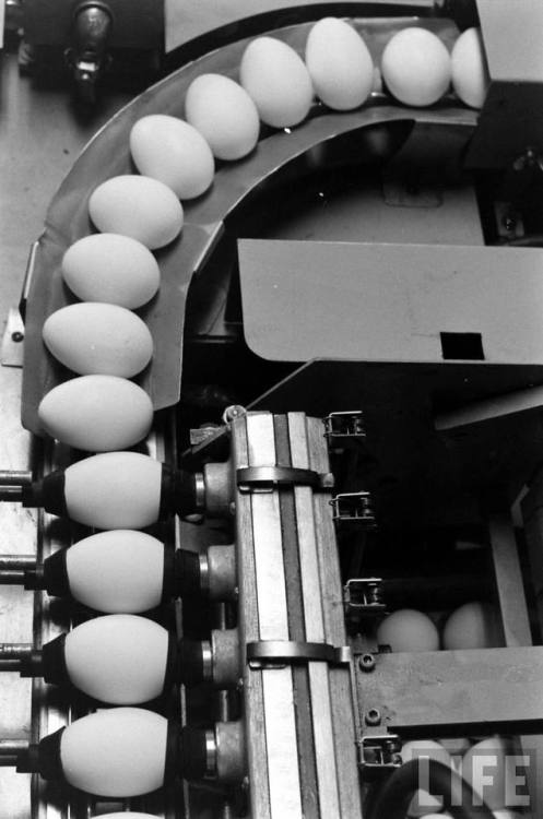 Egg processing(Al Fenn. 1959?)