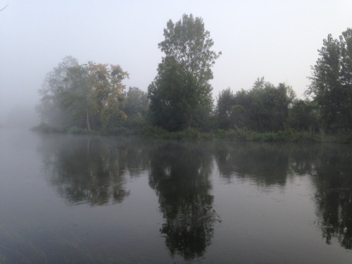 Morning Mist, La Londe, France.