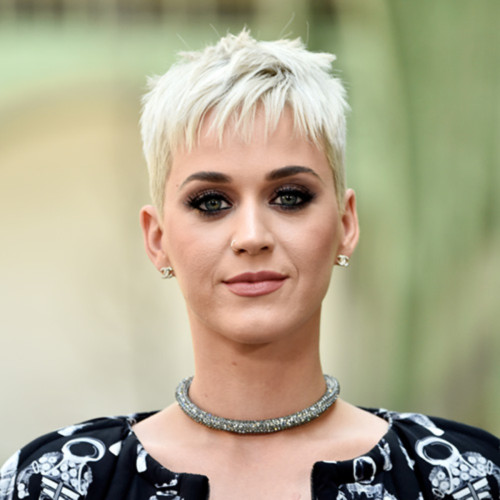 Katy Perry to Star in Animated Musical Film, ‘Melody’ | Rotoscopers