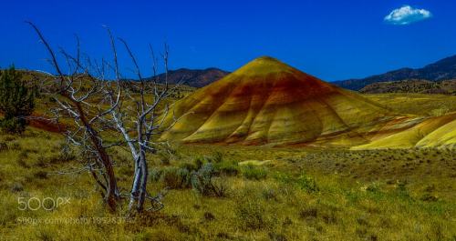 Painted hills oregon by markbowenfineart