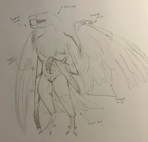 Some Misc Unposted Doodles - NUDITY BELOW THE CUT