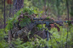 militaryarmament:  U.S Army Sniper School,