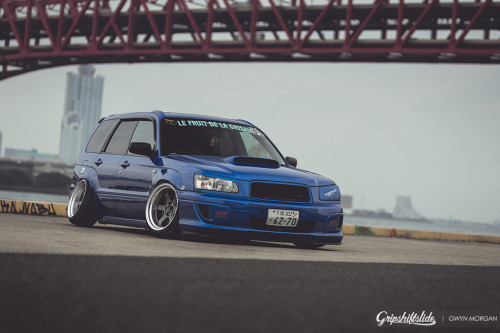 timetochaing:    ♡ FORESTER ♡