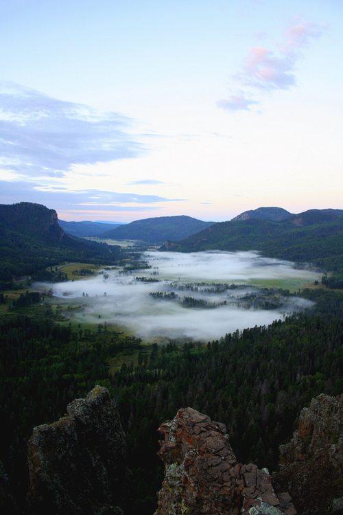 asthmas:  Wolf creek fog 