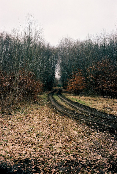cillium:  Untitled
