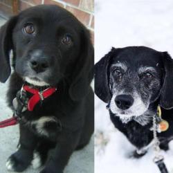 awwww-cute:  13 years, 4 states, and thousands