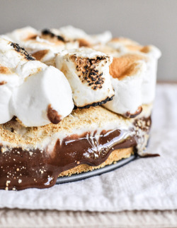 do-not-touch-my-food:  S’mores Ice Cream