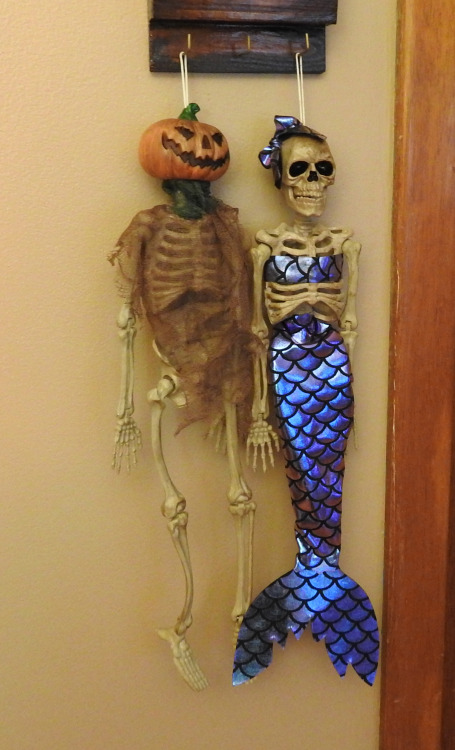 ofbeautsandbeasts: I saw these at Big Lots and had to have them! The mermaid one totally reminds me 