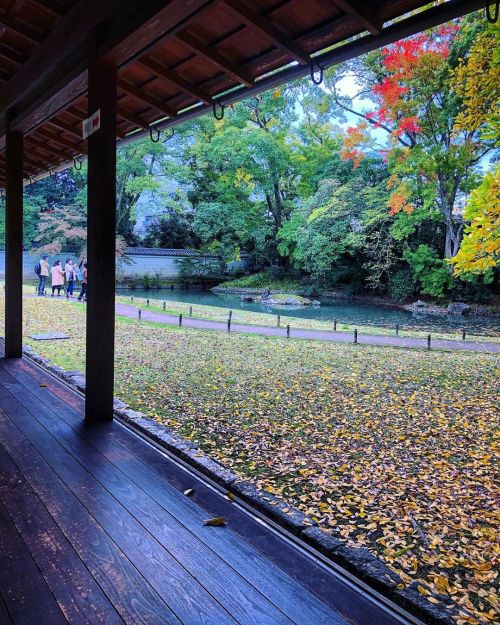 閑院宮邸跡庭園 [ 京都市上京区 ] Kaninnomiya Residence ruins Garden, Kyoto の写真・記事を更新しました。 ーー京都御苑の最南西。現在の皇室へと繋がる四親王